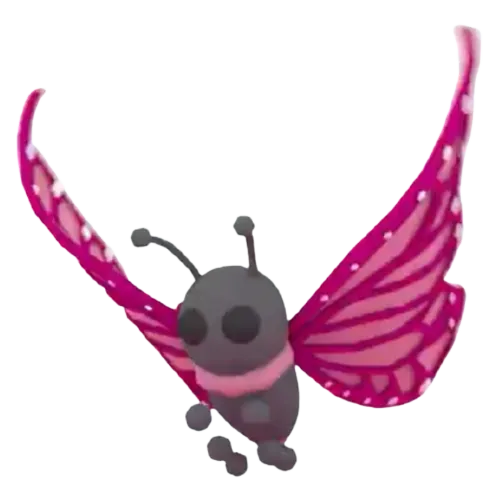2021 Uplift Butterfly