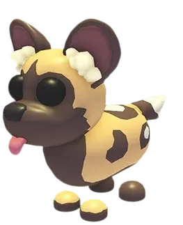 African Wild Dog