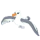 Albatross