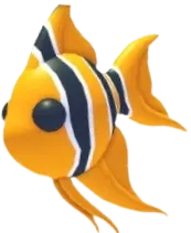 Angelfish
