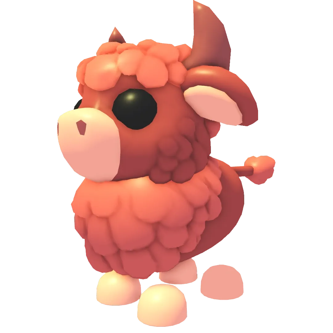 Angus Bull