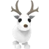 Arctic Reindeer