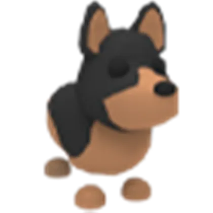 Australian Kelpie