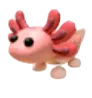 Axolotl