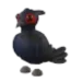 Black-Chested Pheasant