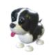 Black Springer Spaniel