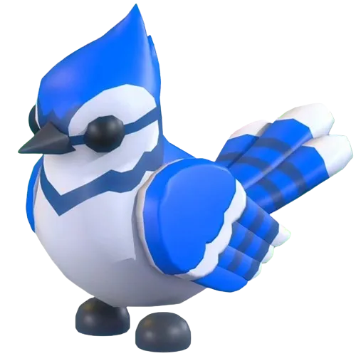 Blue Jay