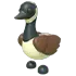 Canadian Goose