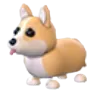 Corgi