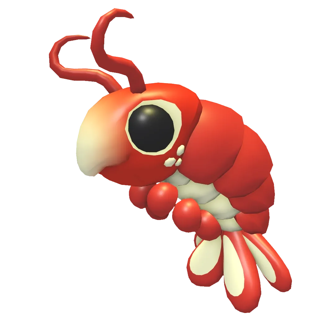 Emperor Shrimp