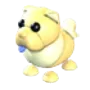 Golden Chow-Chow
