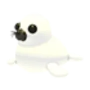 Harp Seal