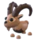 Ibex