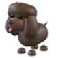 Irish Water Spaniel
