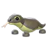 Komodo Dragon
