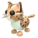 Leopard Cat