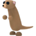 Meerkat