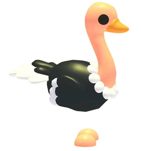Ostrich