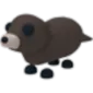Otter