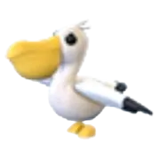 Pelican