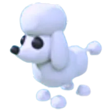 Poodle