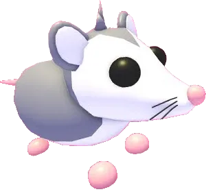 Possum