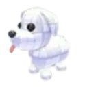 Practice Dog