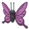 Purple Butterfly