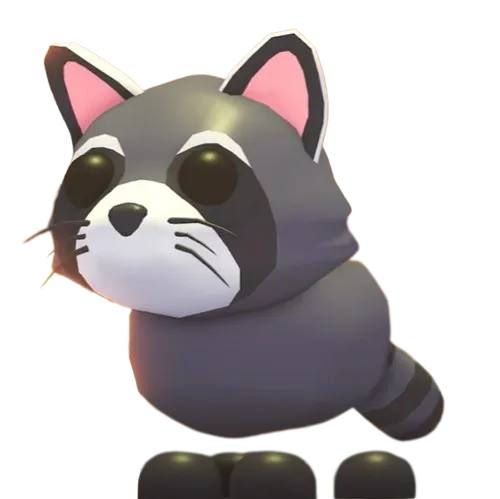 Raccoon