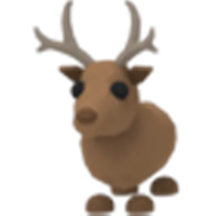 Reindeer