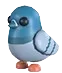 Rock Pigeon
