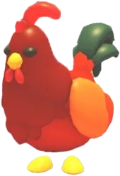 Rooster
