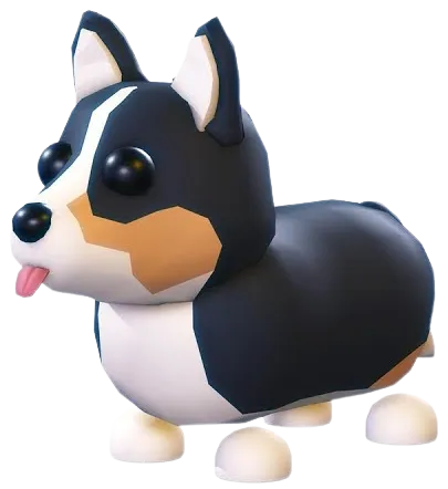 Royal Corgi