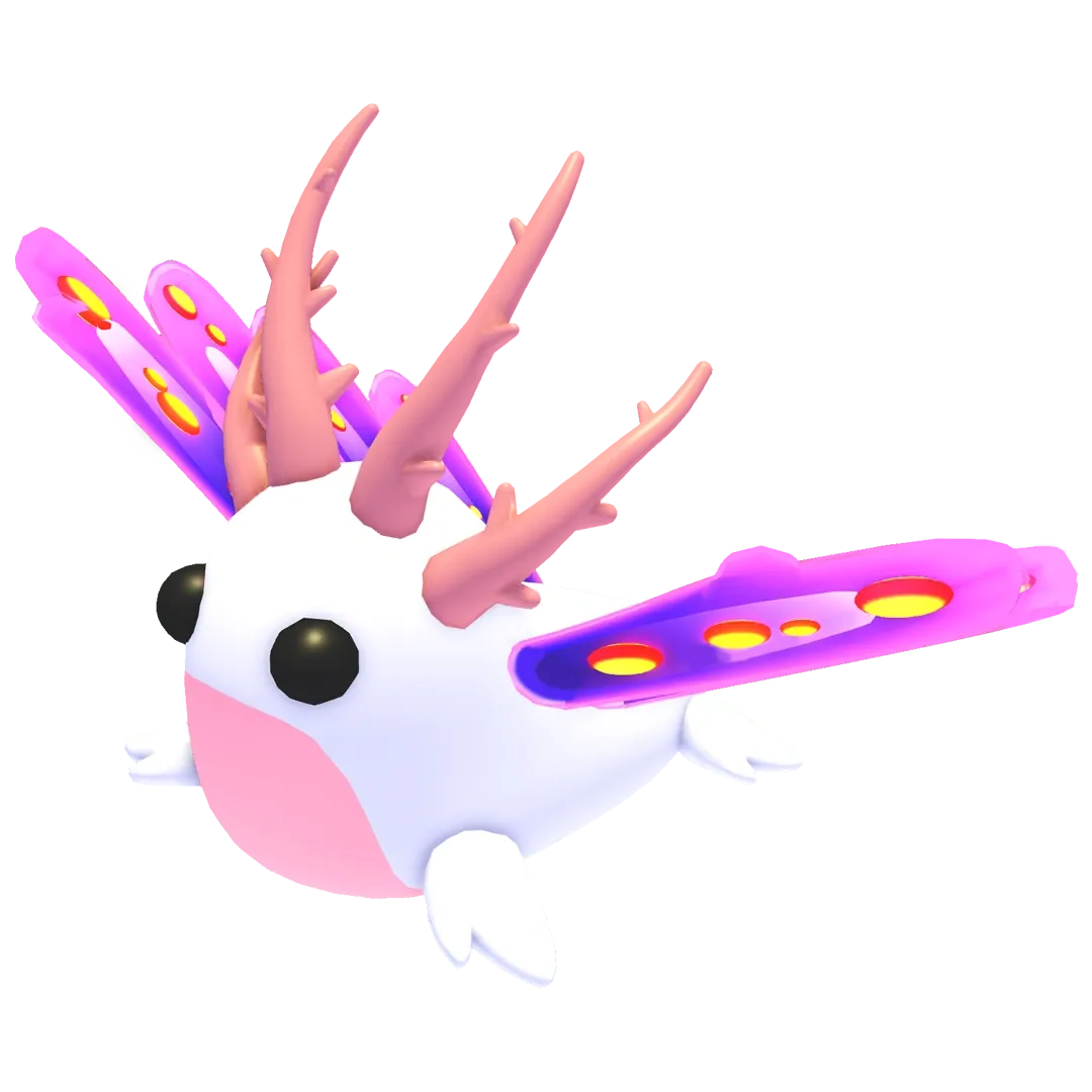 Sea Slug