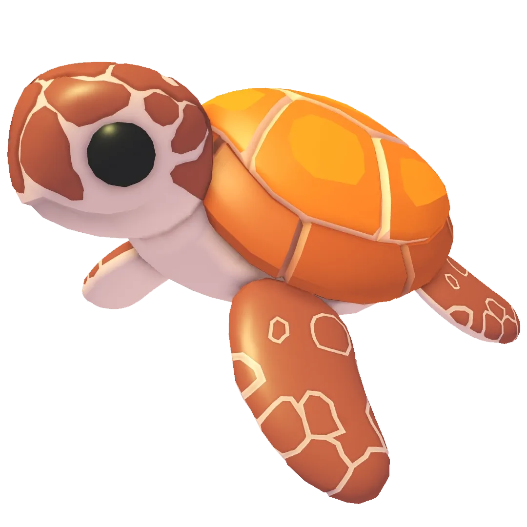 Sea Turtle