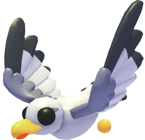 Seagull