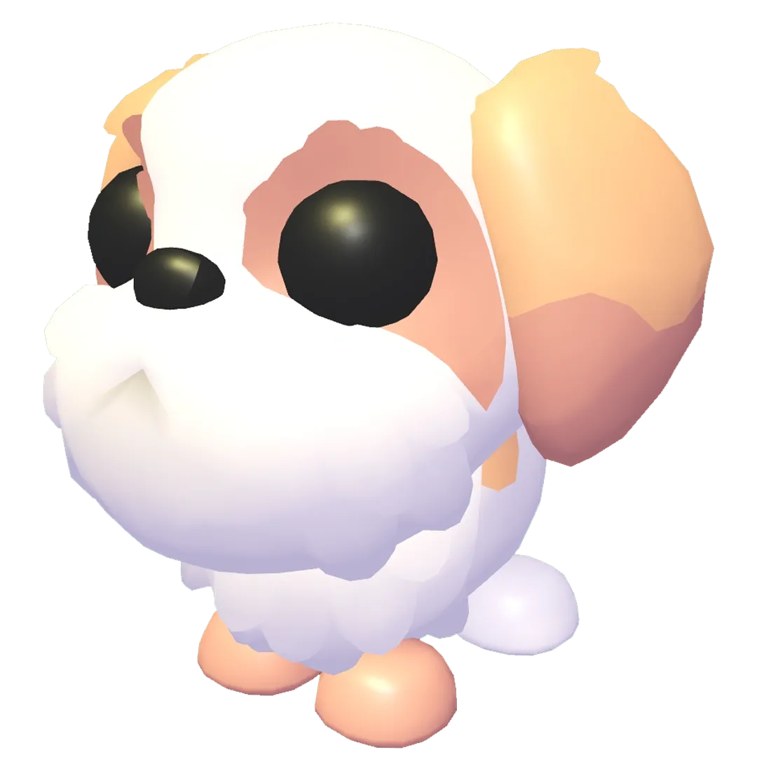 Shih Tzu