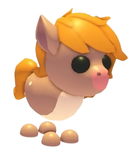 Show Pony