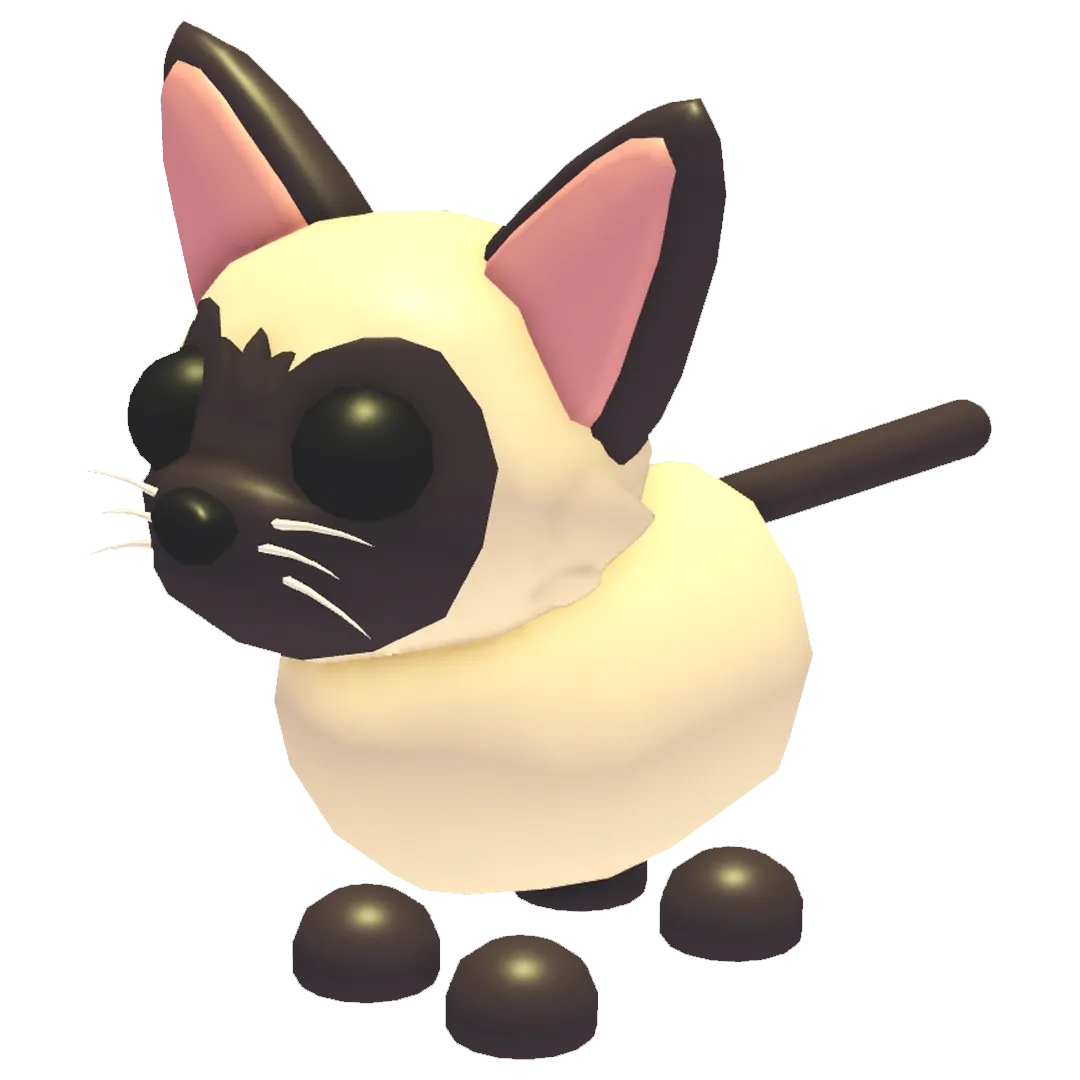 Siamese Cat