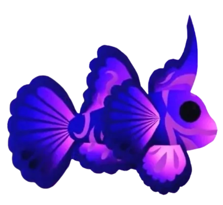 Singularity Pisces