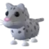 Snow Leopard