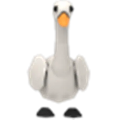 Swan