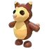 Tree Kangaroo