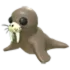 Walrus