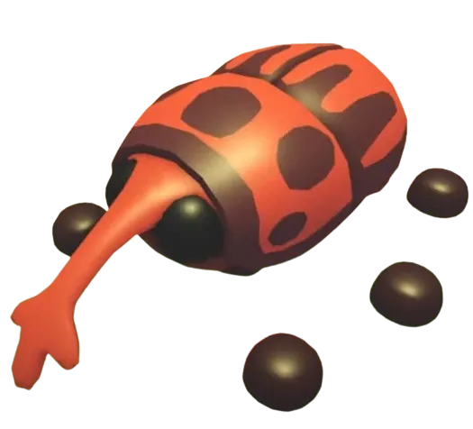 Weevil Pet