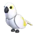 White Amazon
