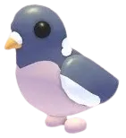 Wood Pigeon