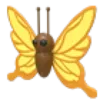Yellow Butterfly